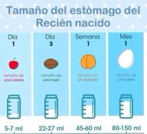 ropa-de-lactancia-tamaño-del-recien-nacido